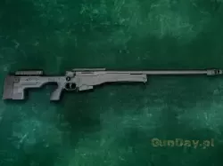a1.jpg