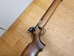 20240821_115353.jpg