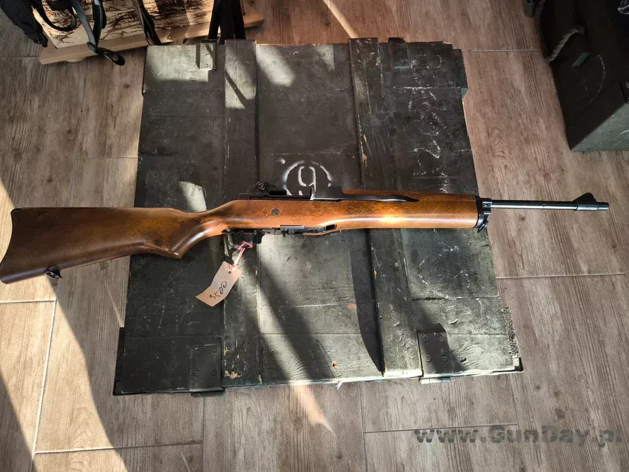 ruger2.webp