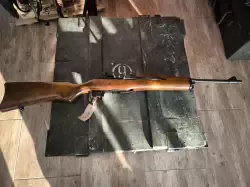 Ruger Mini 14 .223Rem nr 182-05889
