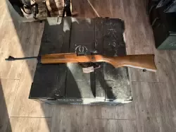 ruger.webp