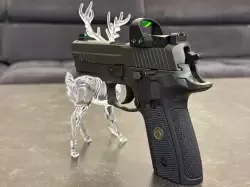 sig1.jpg