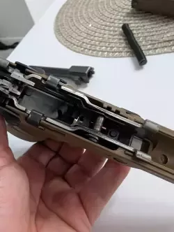 1000005356.jpg