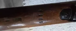 1000081786.jpg