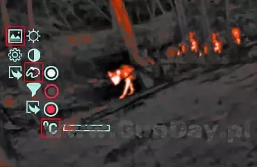 3229.jpg