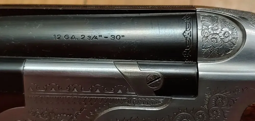 20221129_173726_HDR.jpg