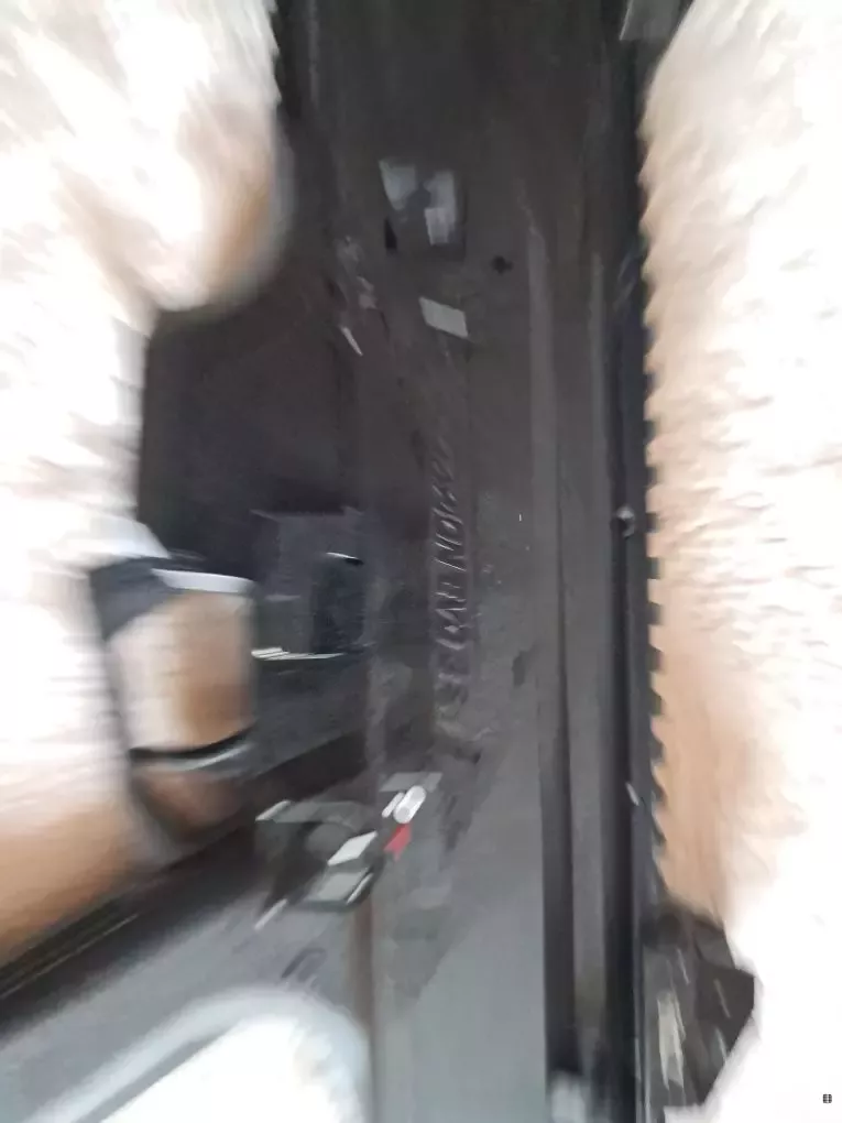 Scorpion 06.jpeg