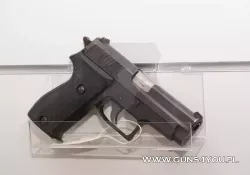 pistolet-centralny-zaplon-2.jpg