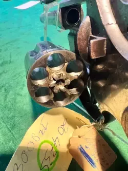 Colt 