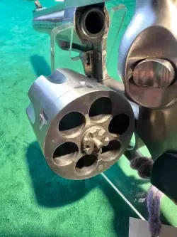 Ruger 