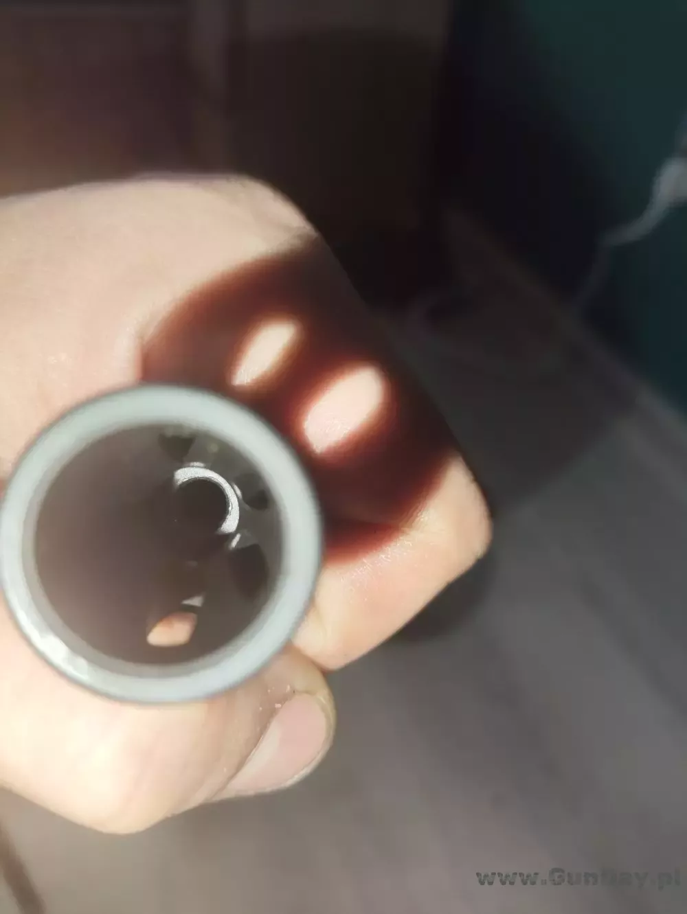 1000011395.jpg