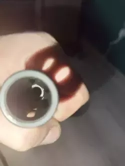1000011395.jpg