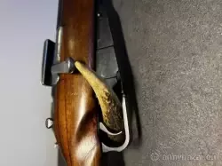 MOSIN RADOMSKI