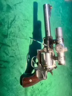 Ruger 
