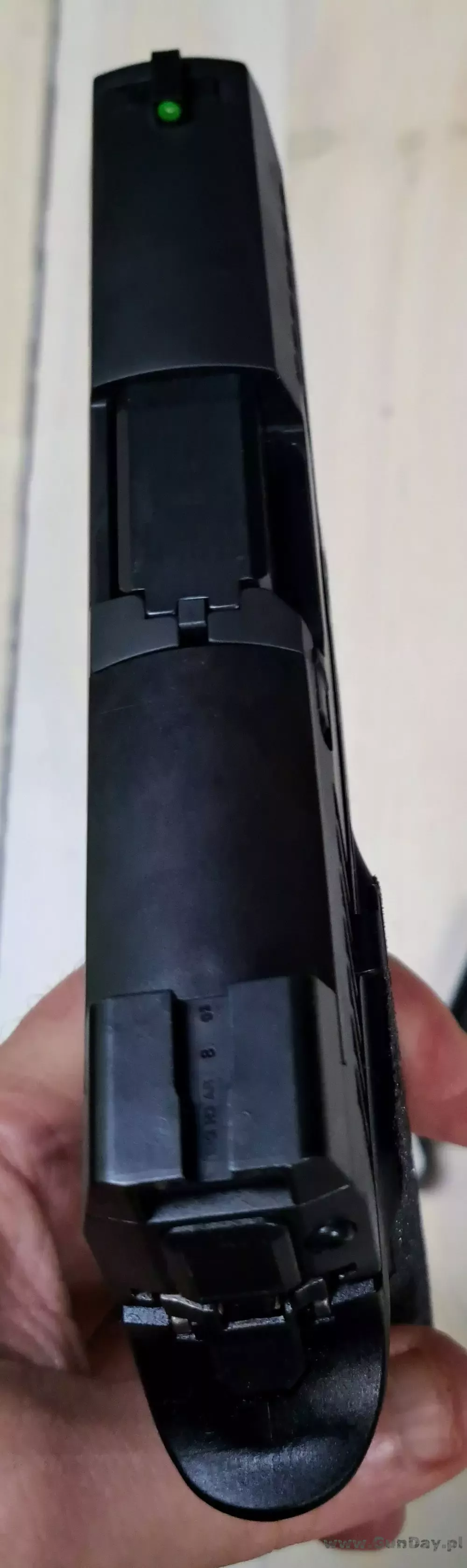 sig 7.jpg