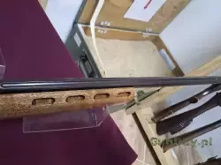1000008512.jpg