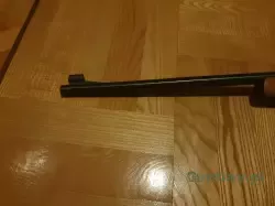 20240319_182451.jpg