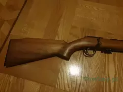 20240319_182310.jpg